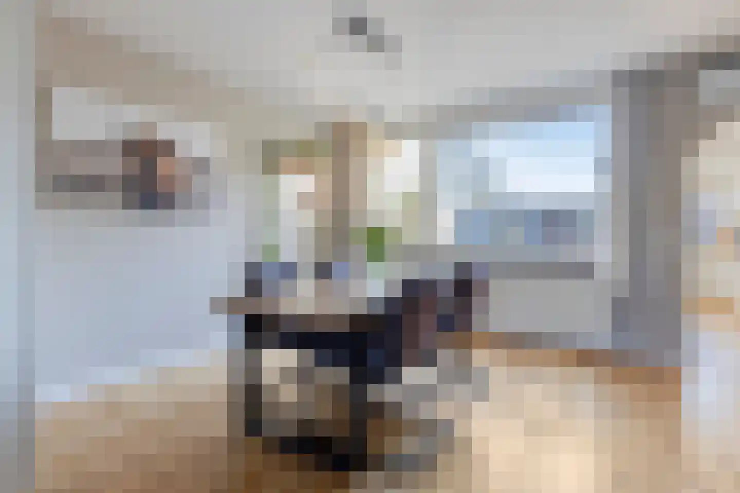 de Toog 15 Oirschot thumbnail 12