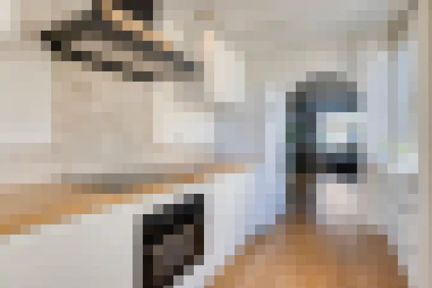 de Toog 15 Oirschot thumbnail 17