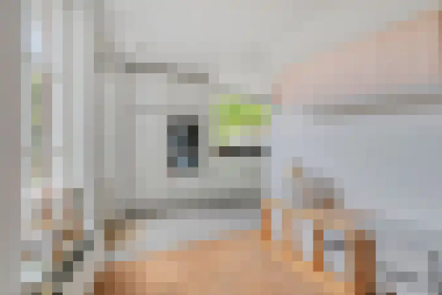 De Toom 10 Malden thumbnail 12