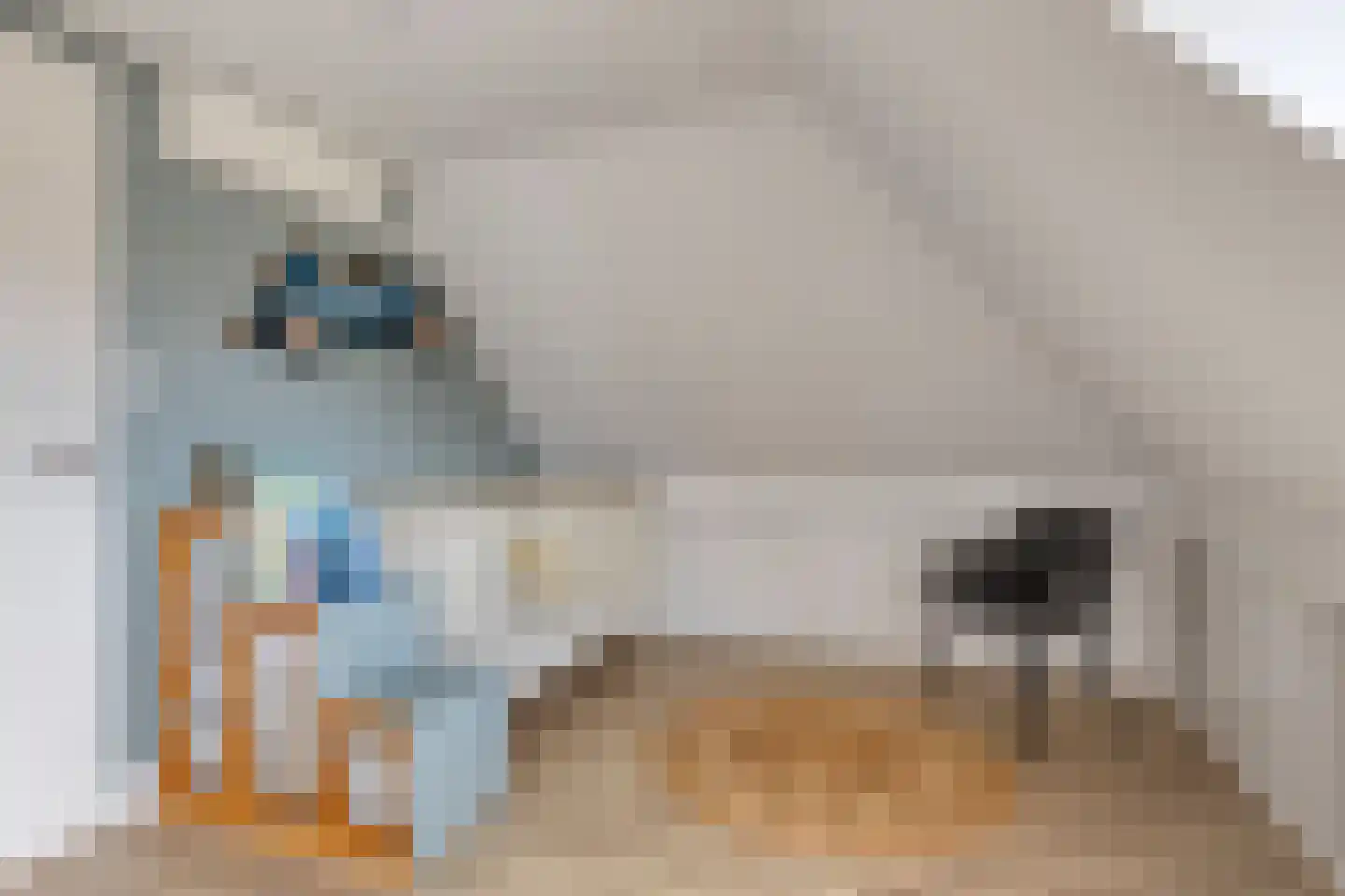 De Toom 10 Malden thumbnail 37