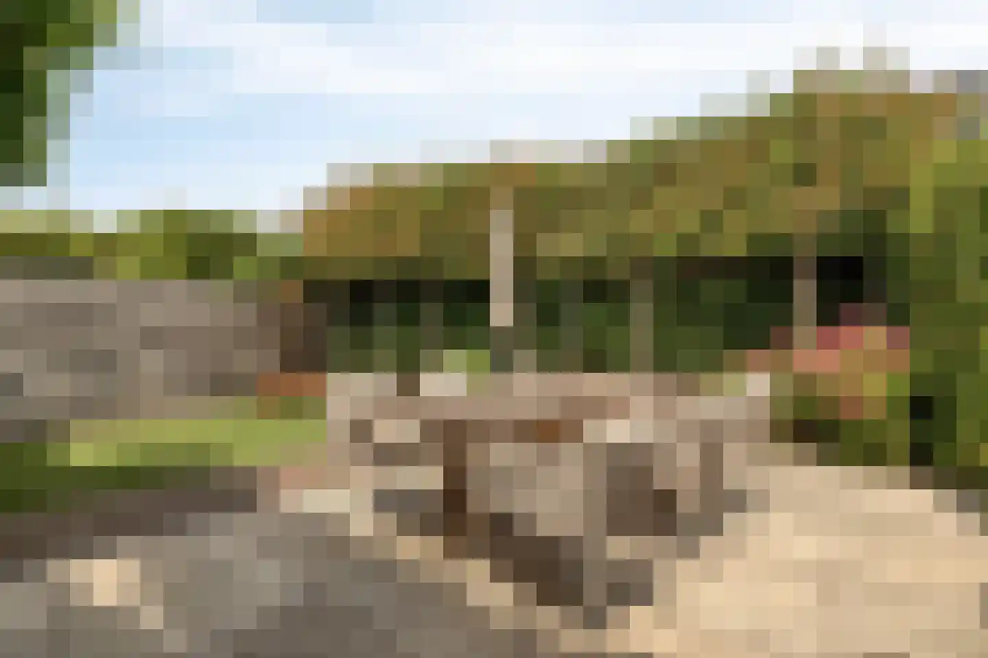 De Toom 10 Malden thumbnail 44