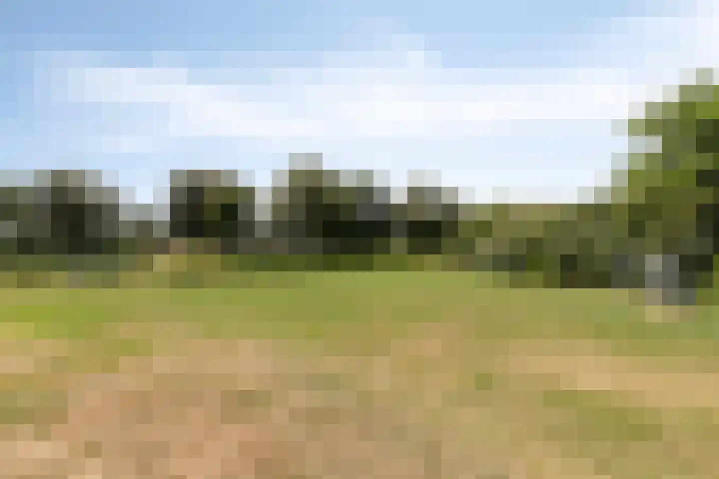De Toom 10 Malden thumbnail 52