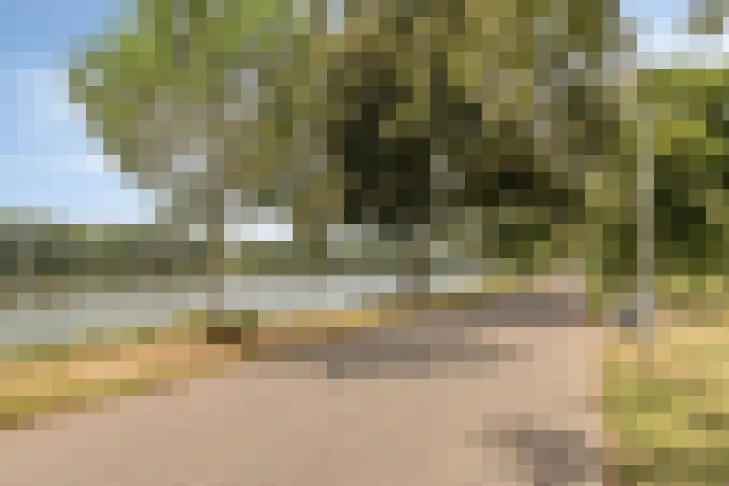 De Toom 10 Malden thumbnail 53
