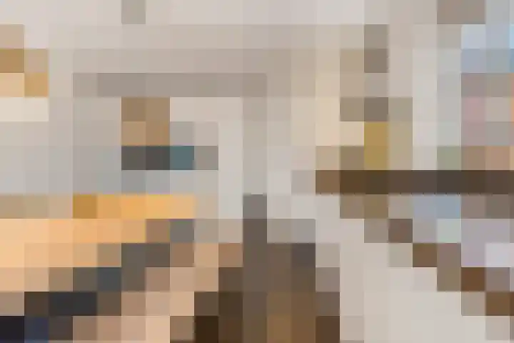 De Toom 20 Malden thumbnail 20