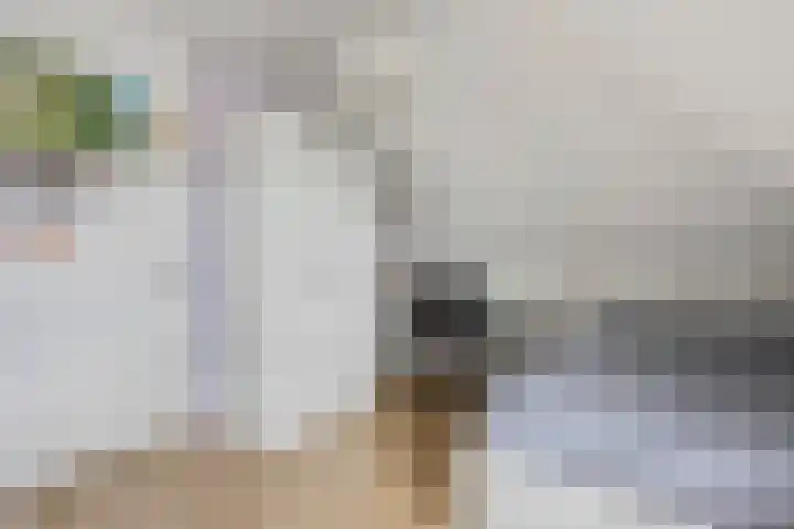 De Toom 20 Malden thumbnail 46