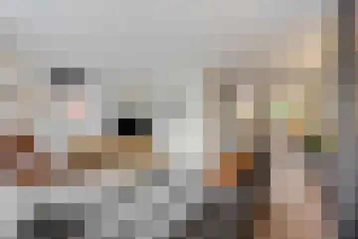 De Toom 20 Malden thumbnail 5