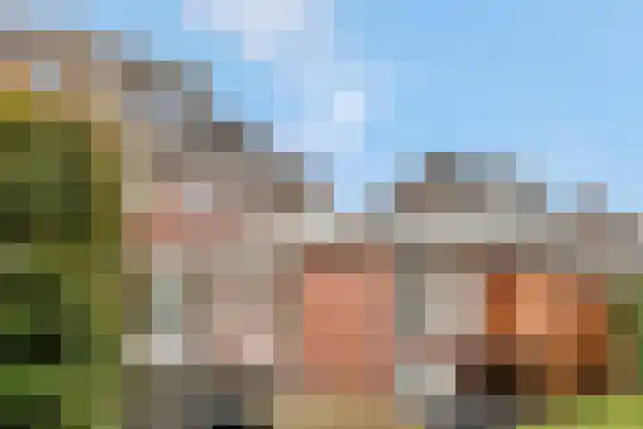 De Toom 20 Malden thumbnail 54