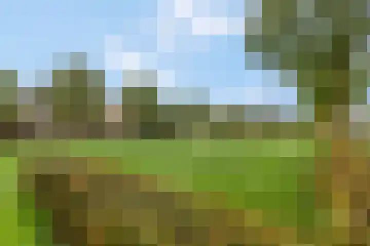 De Toom 20 Malden thumbnail 65