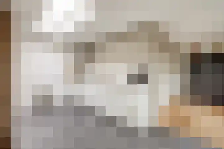 De Toom 34 Malden thumbnail 21