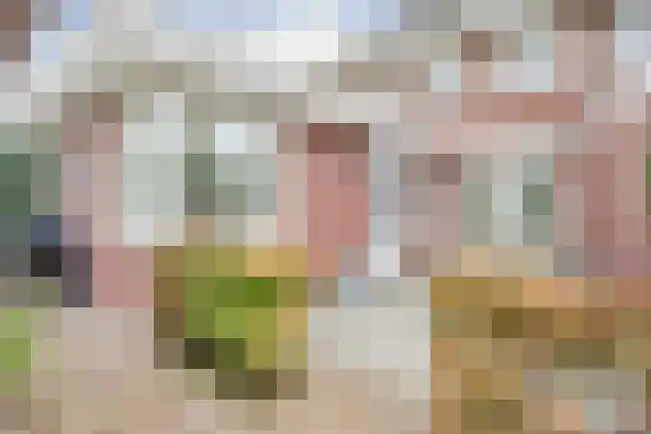 De Toom 34 Malden thumbnail 37