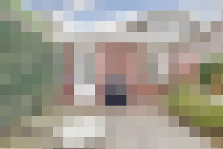 De Toom 34 Malden thumbnail 38