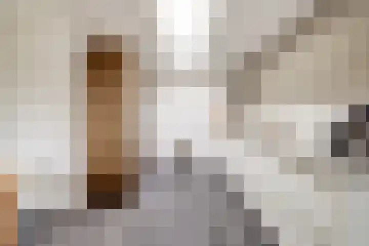 De Toom 34 Malden thumbnail 4
