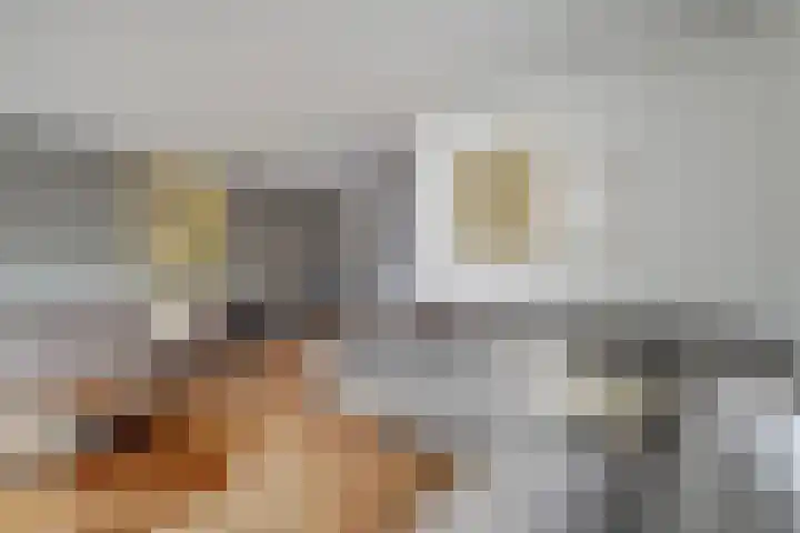 De Toom 34 Malden thumbnail 9