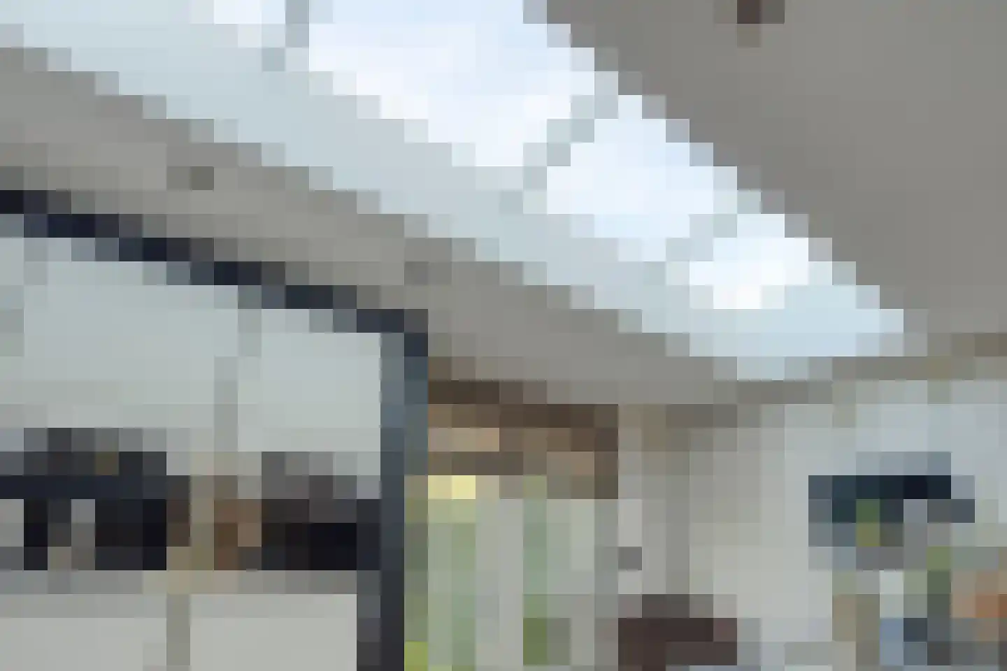 De Toom 4 Malden thumbnail 12
