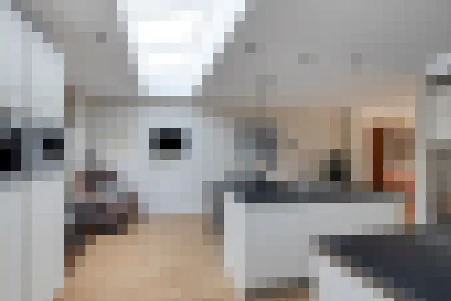De Toom 4 Malden thumbnail 14