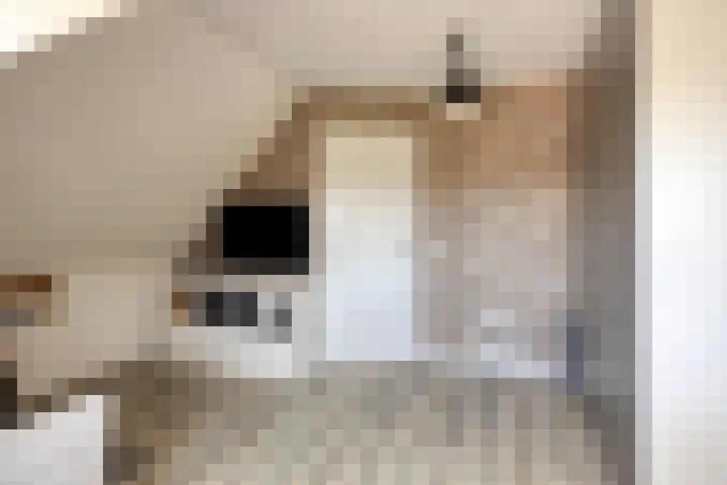 De Toom 4 Malden thumbnail 28
