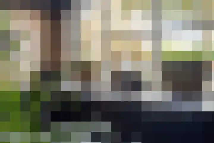 de Toorn 18 Zelhem thumbnail 12