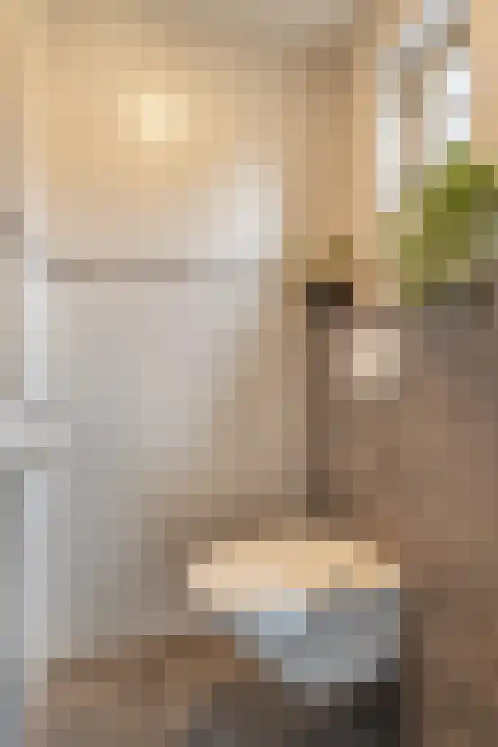 De Torenvalk 12 Rossum thumbnail 16