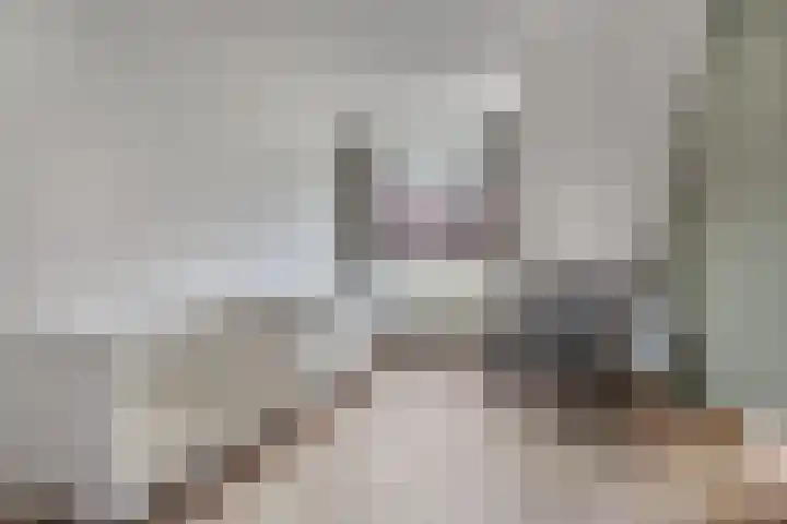 De Torenvalk 12 Rossum thumbnail 18