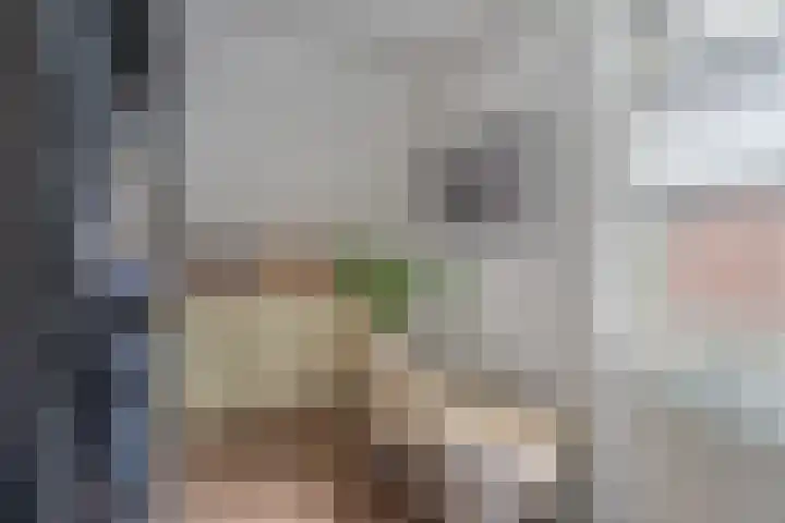De Torenvalk 12 Rossum thumbnail 19