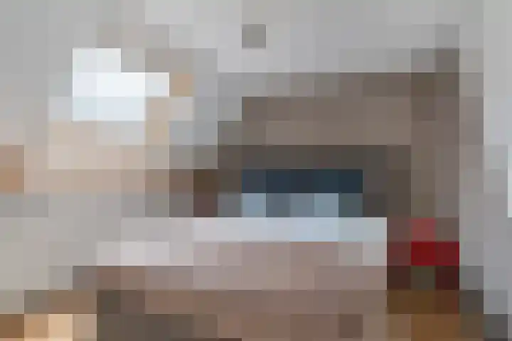 De Torenvalk 12 Rossum thumbnail 21