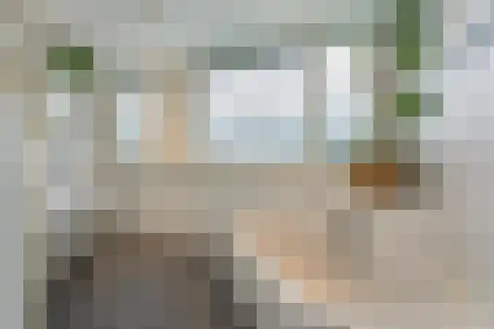De Torenvalk 12 Rossum thumbnail 25