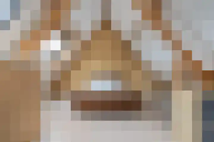 De Torenvalk 12 Rossum thumbnail 27