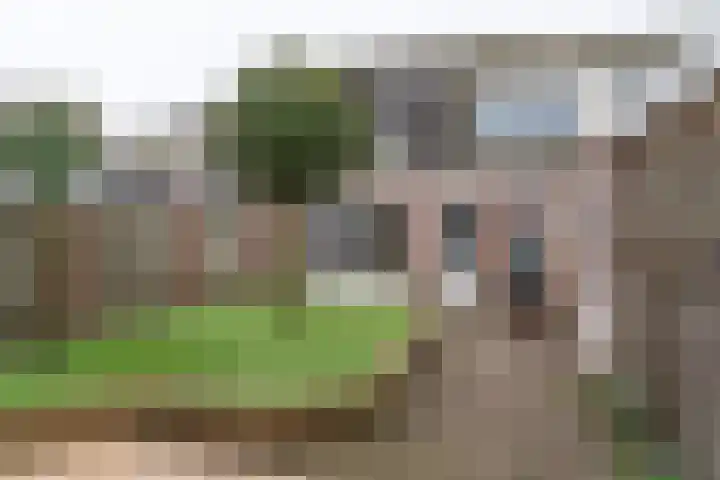 De Torenvalk 12 Rossum thumbnail 30