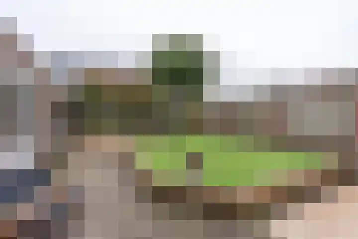 De Torenvalk 12 Rossum thumbnail 31