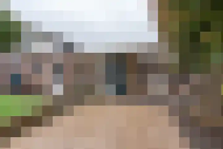 De Torenvalk 12 Rossum thumbnail 33