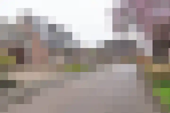 De Torenvalk 12 Rossum thumbnail 35