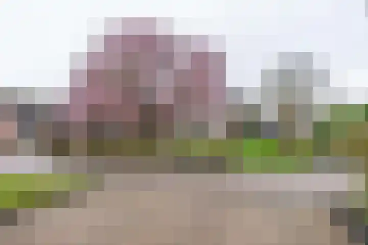 De Torenvalk 12 Rossum thumbnail 36