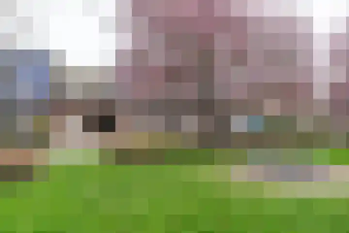 De Torenvalk 12 Rossum thumbnail 37