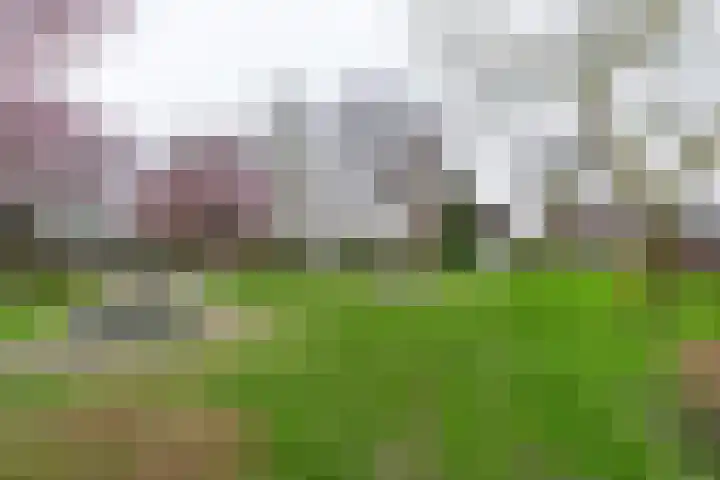 De Torenvalk 12 Rossum thumbnail 38
