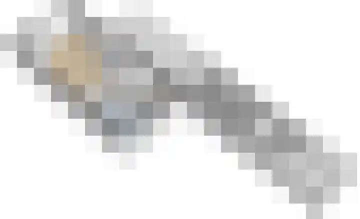 De Torenvalk 12 Rossum thumbnail 43