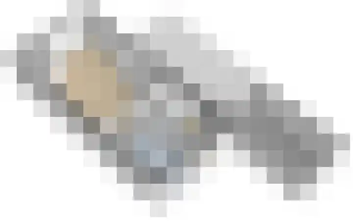 De Torenvalk 12 Rossum thumbnail 44