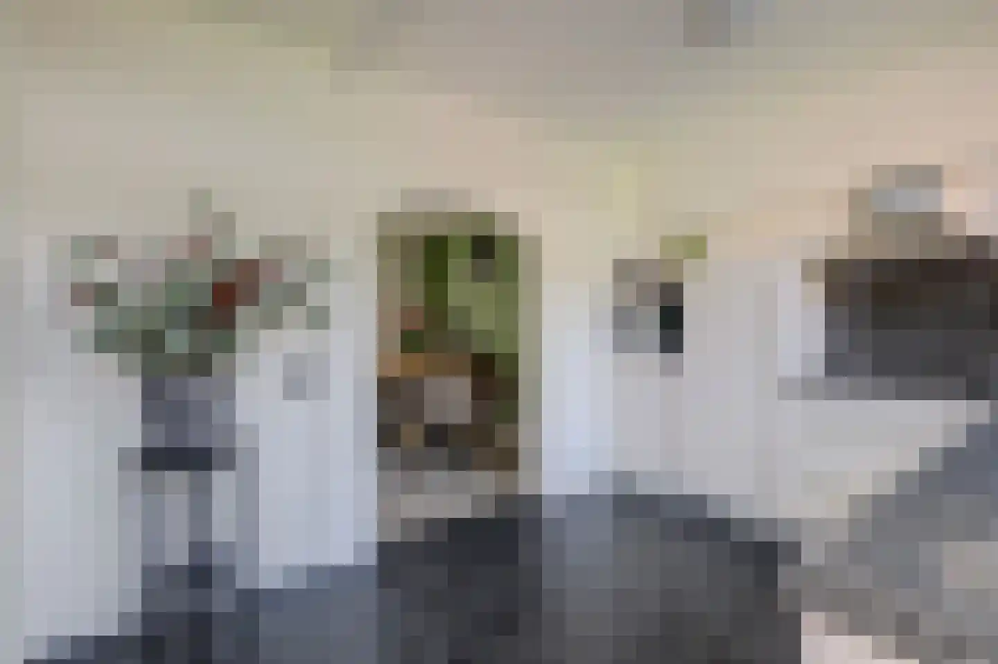 De Torenvalk 21 Rossum thumbnail 20