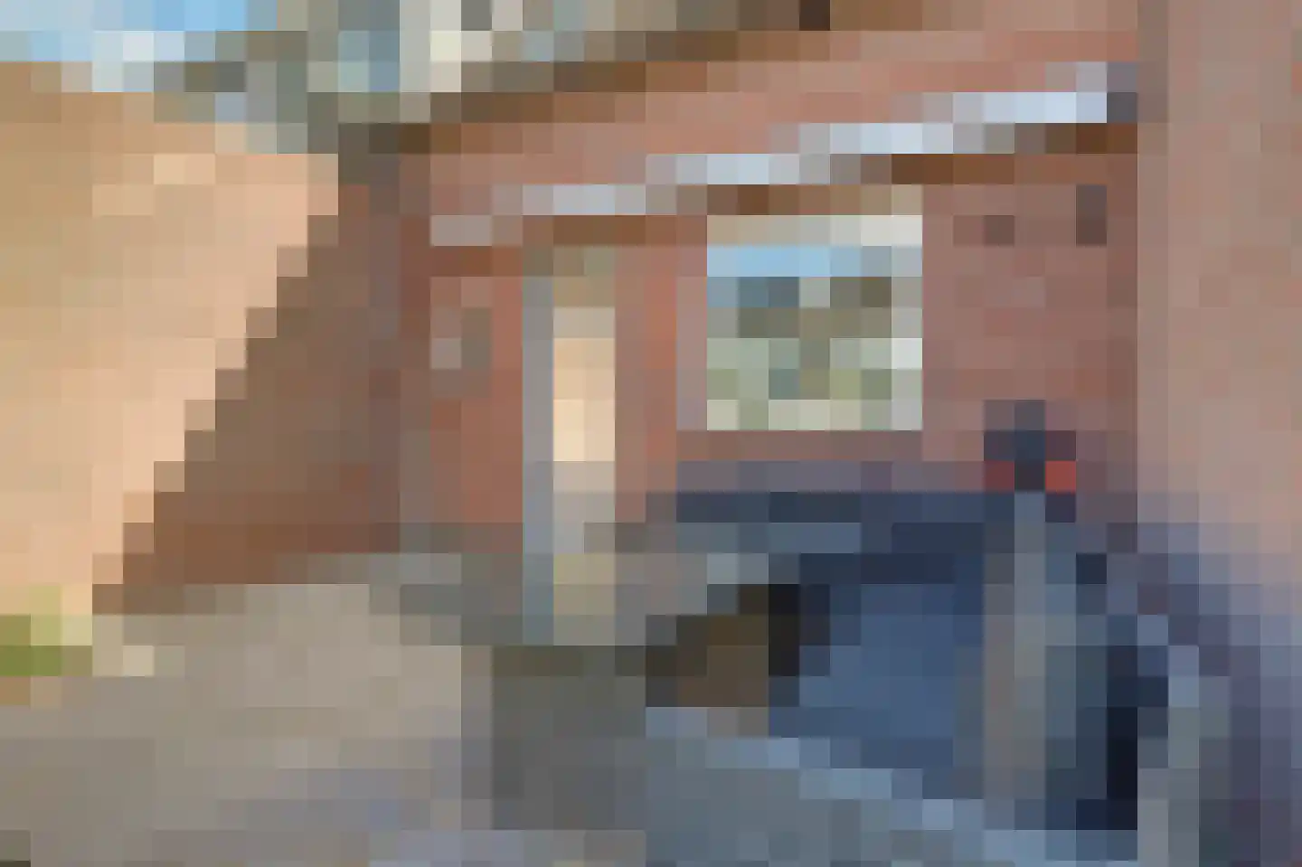 De Torenvalk 21 Rossum thumbnail 41