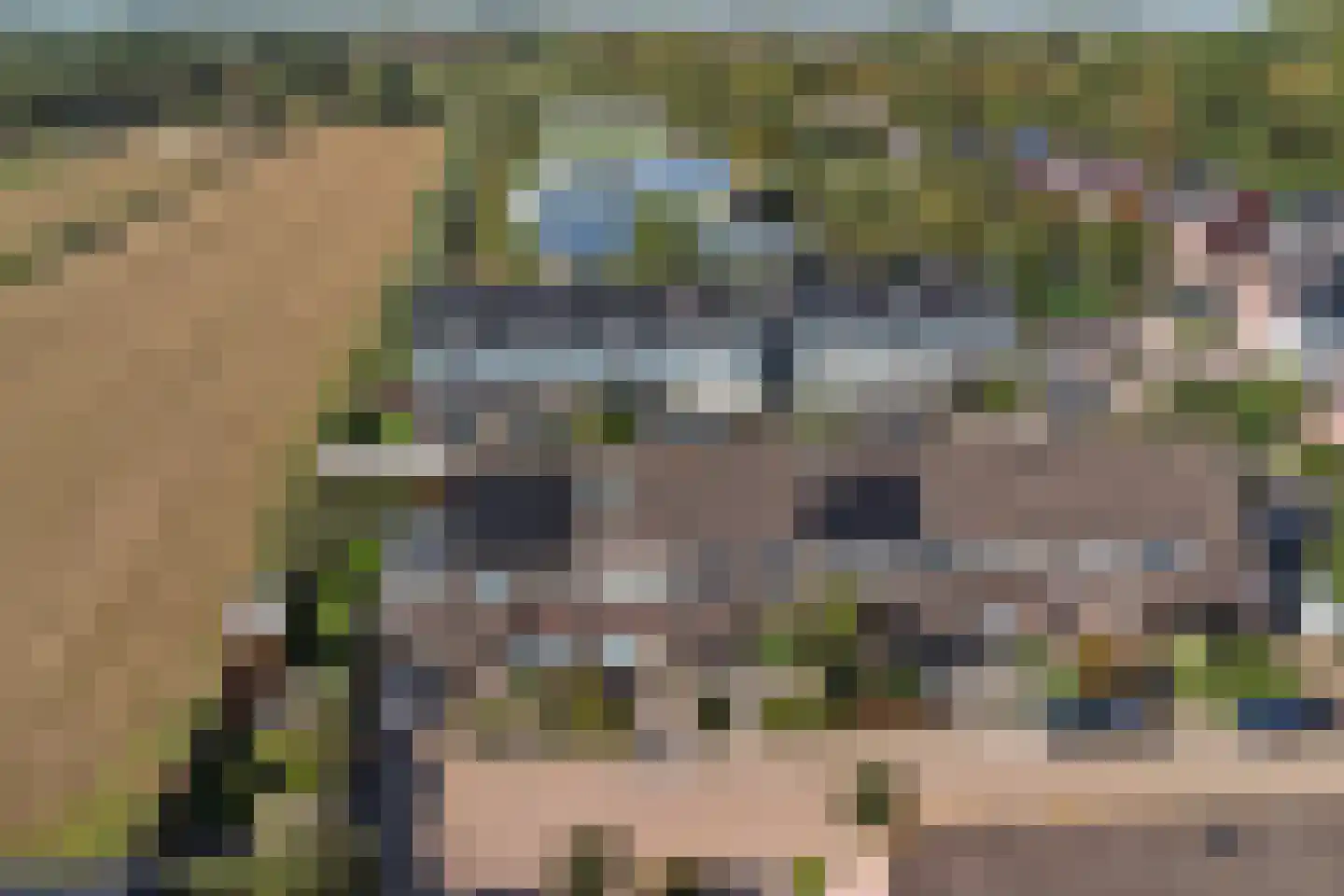 De Torenvalk 21 Rossum thumbnail 9