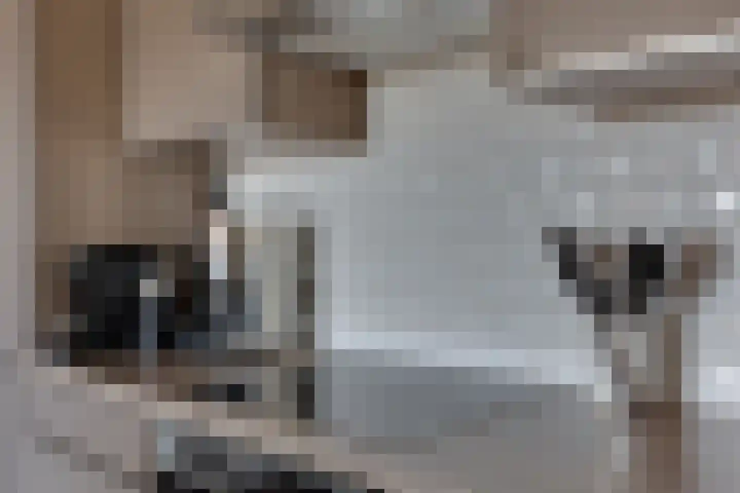 De Torenvalk 27 Lichtenvoorde thumbnail 11