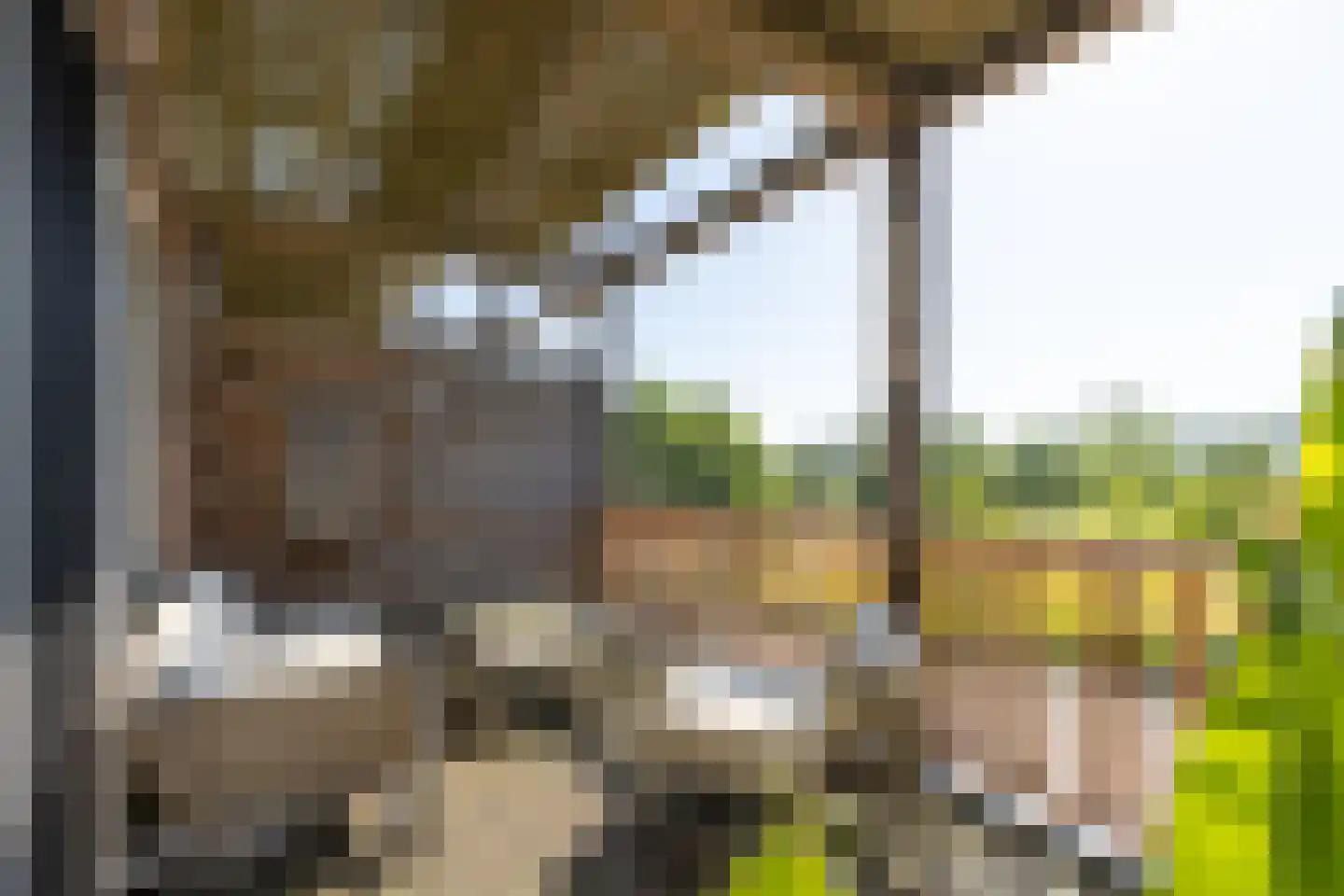 De Torenvalk 27 Lichtenvoorde thumbnail 15