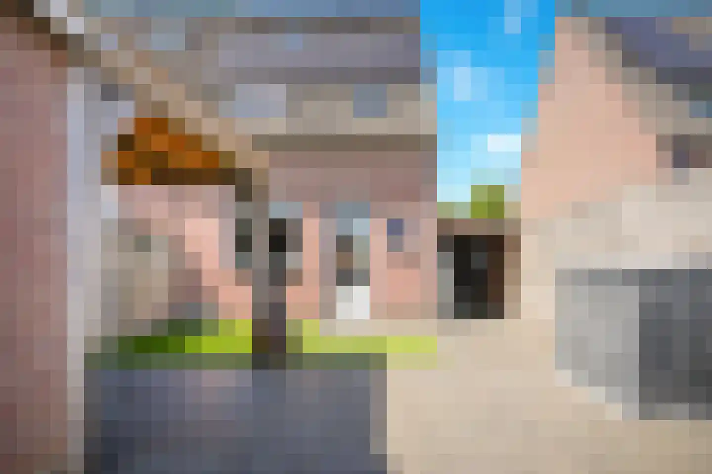 De Torenvalk 36 Rossum thumbnail 25