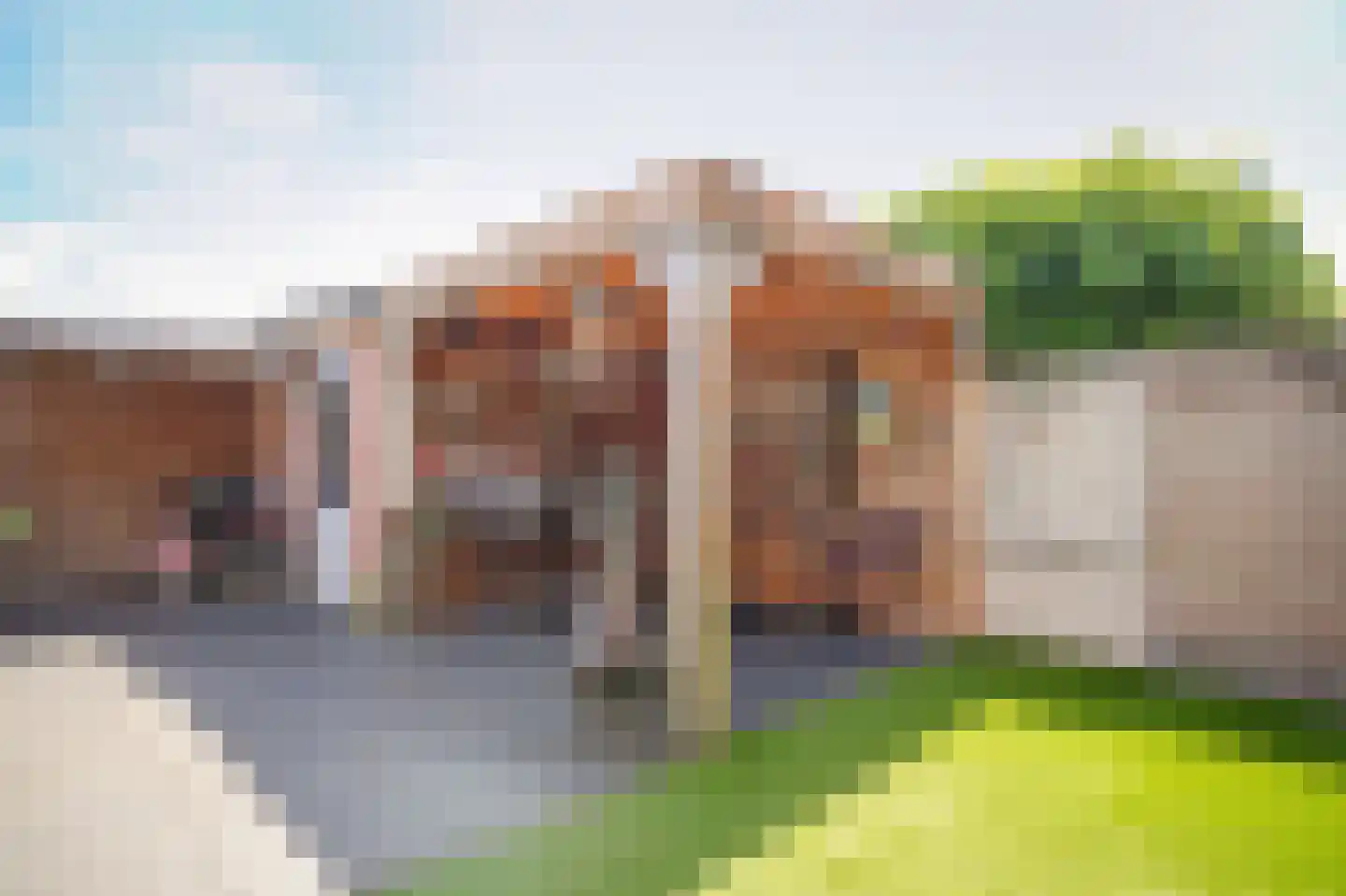 De Torenvalk 36 Rossum thumbnail 29
