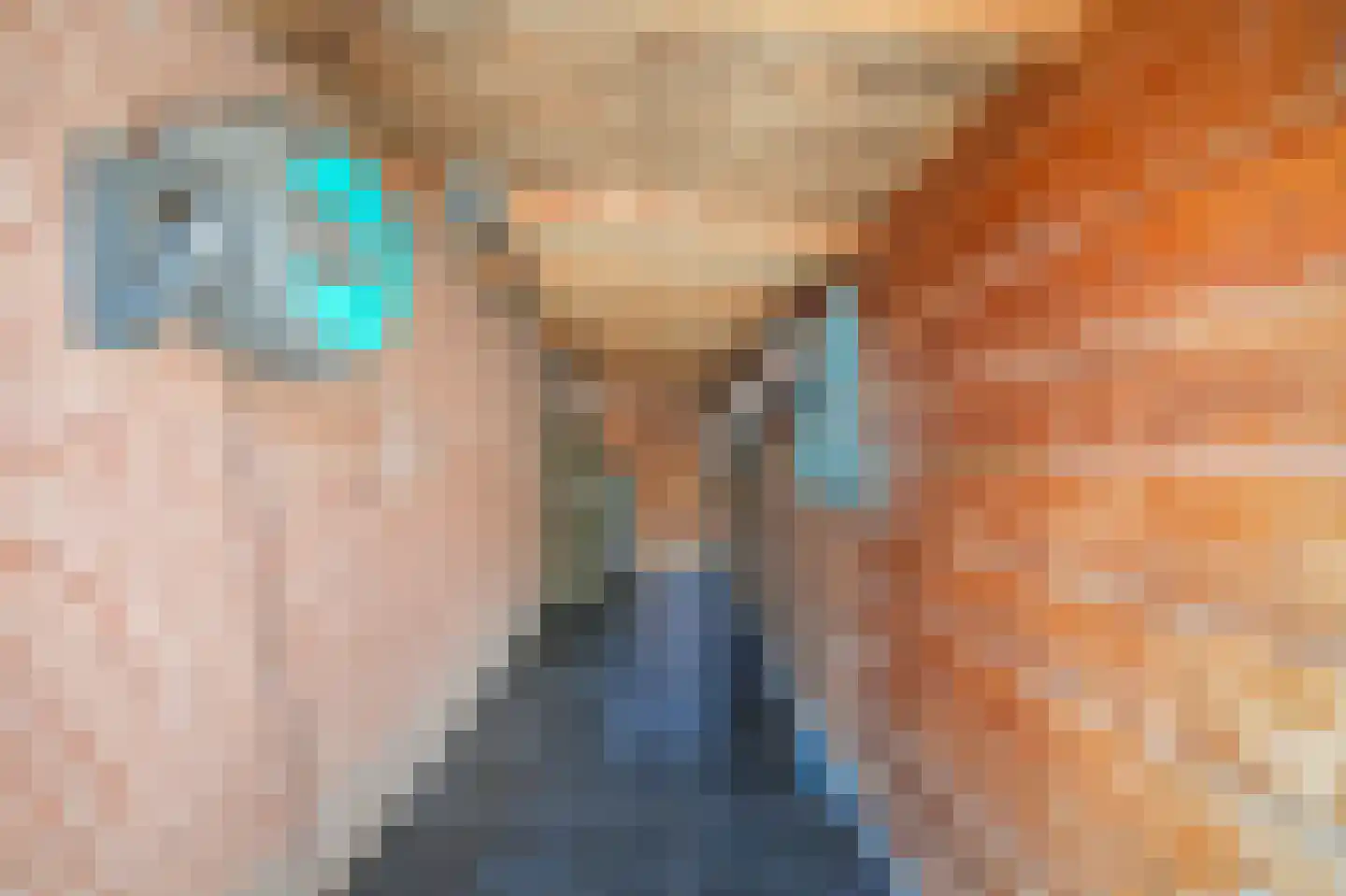 De Torenvalk 36 Rossum thumbnail 33