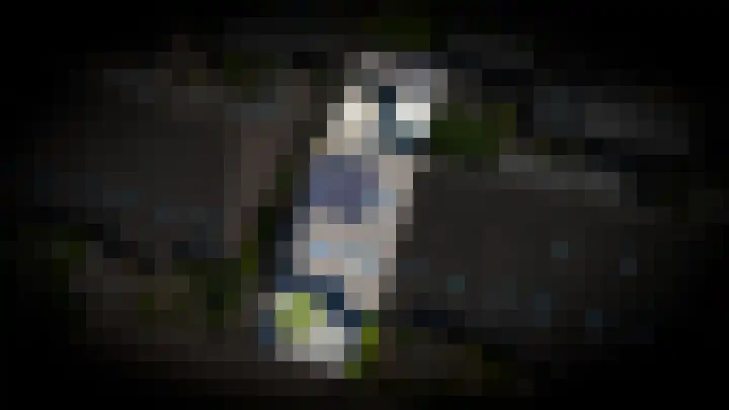 De Torenvalk 36 Rossum thumbnail 39