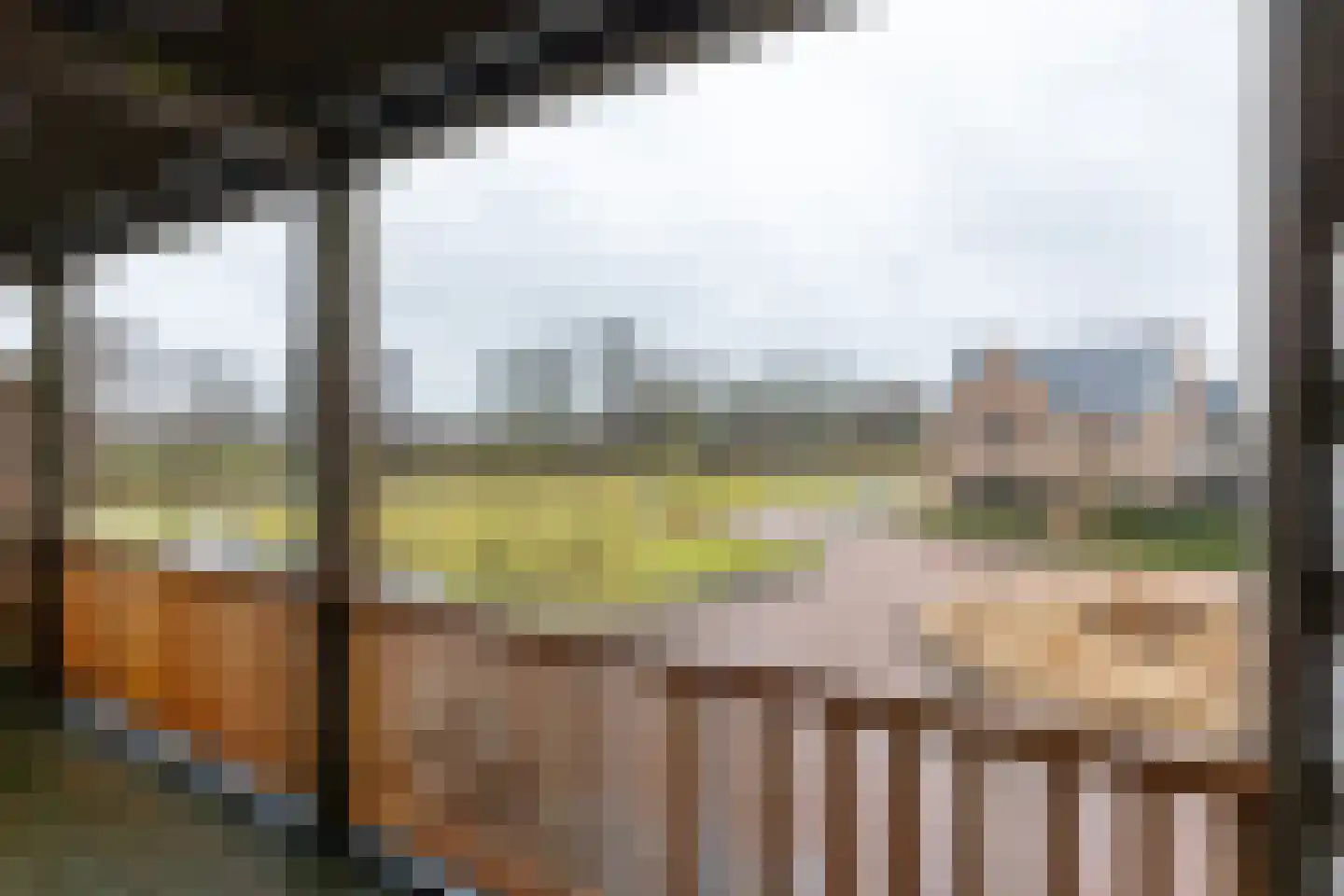 De Torenvalk 5 Lichtenvoorde thumbnail 36