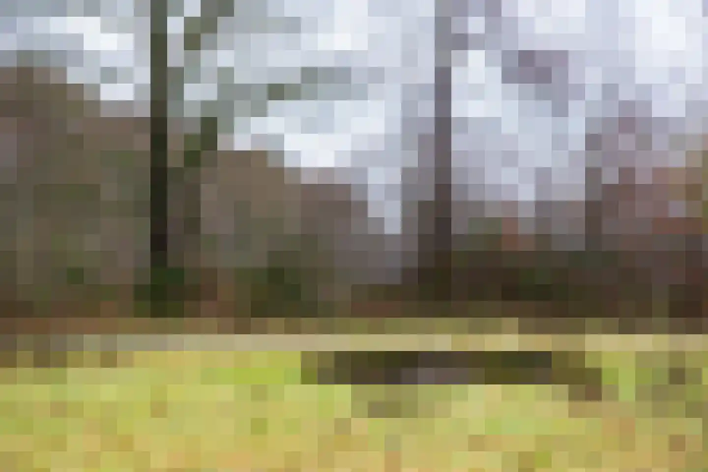 De Torenvalk 5 Lichtenvoorde thumbnail 37