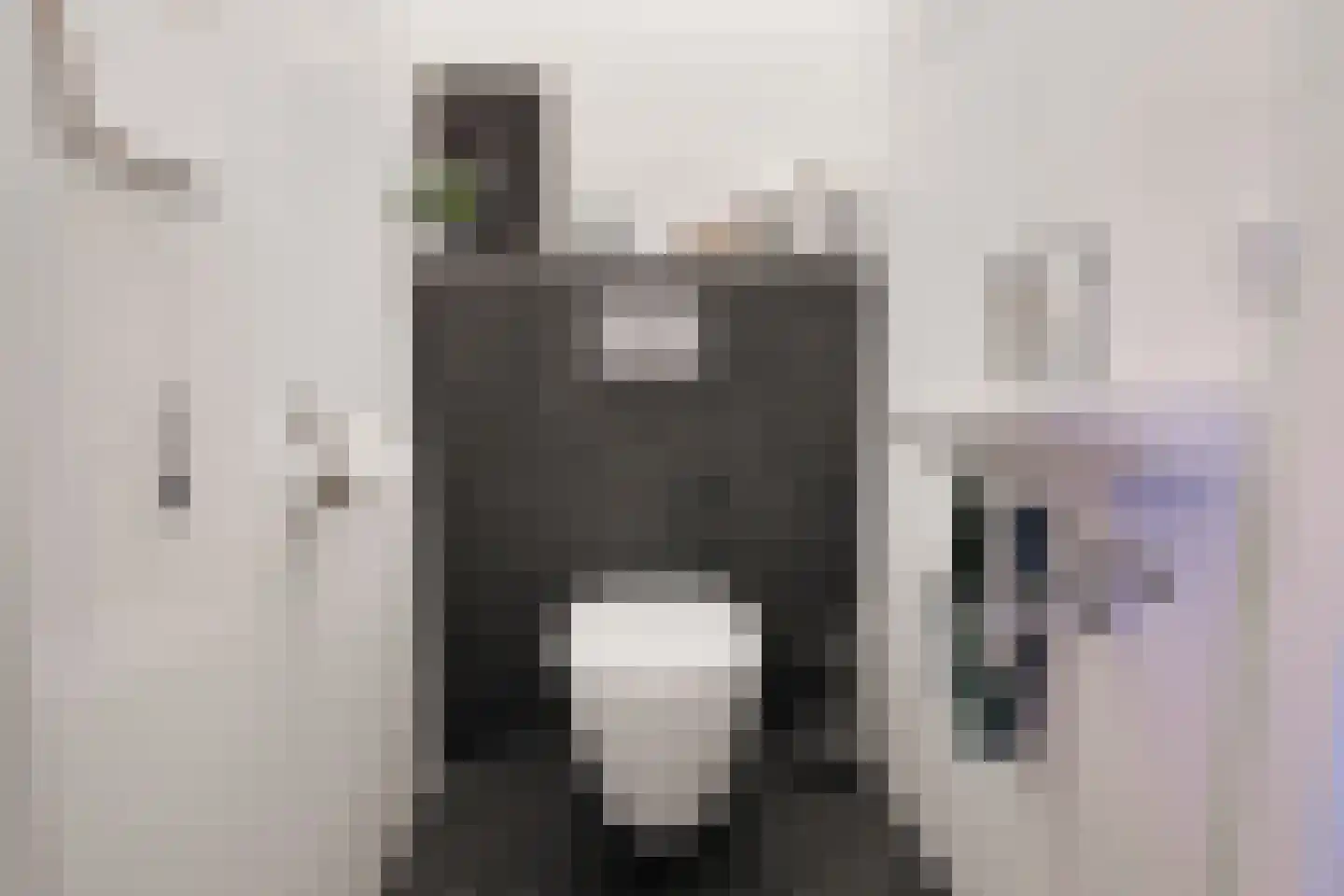 De Torenvalk 9 Lichtenvoorde thumbnail 13