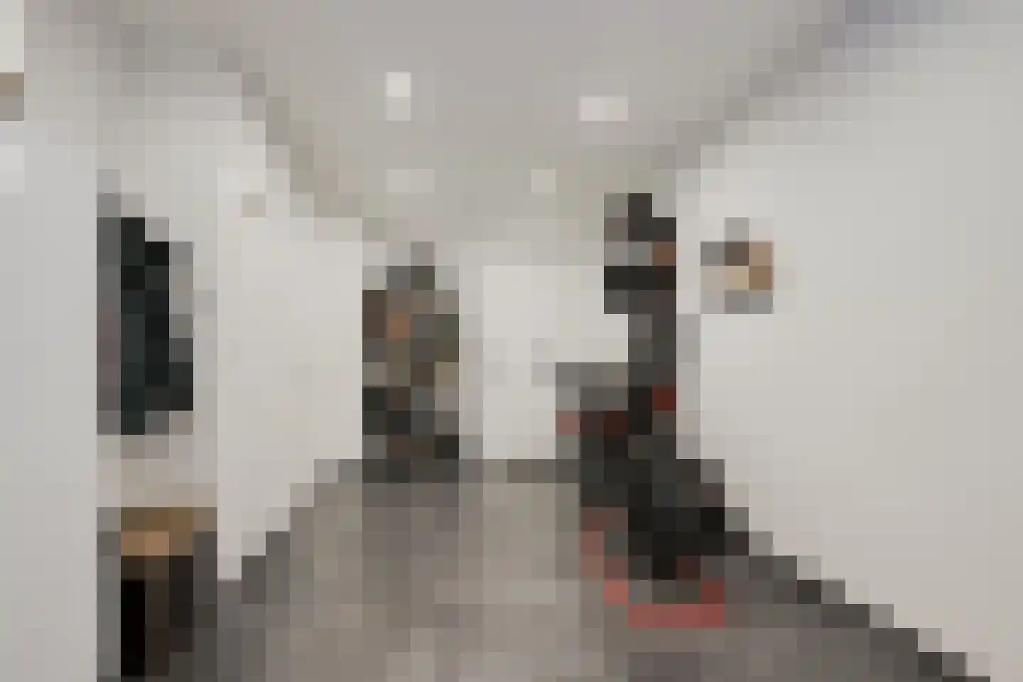 De Torenvalk 9 Lichtenvoorde thumbnail 14