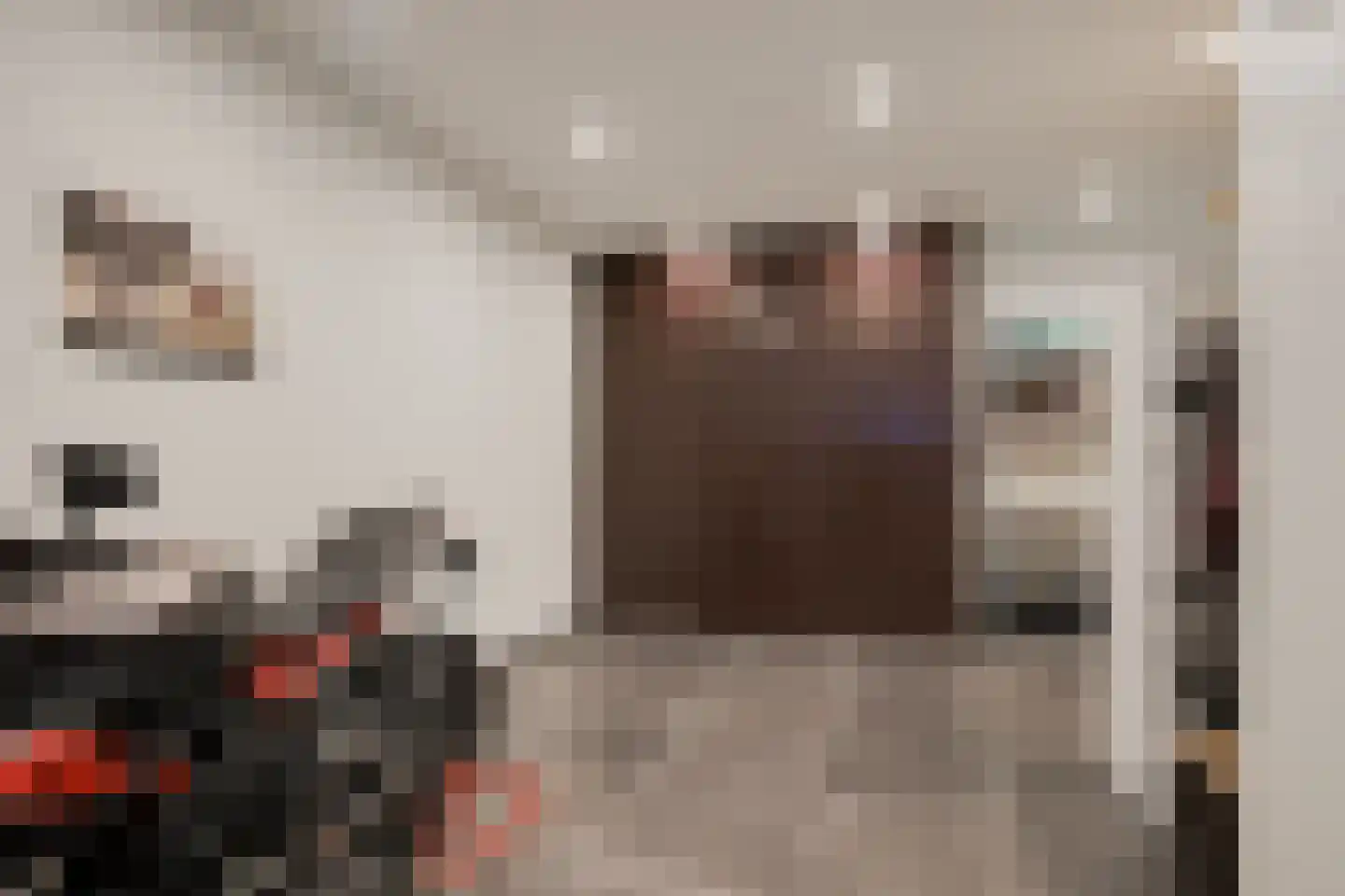 De Torenvalk 9 Lichtenvoorde thumbnail 15